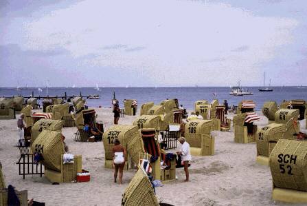 �g���[���F�~�����f